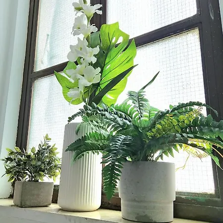 度假居 Acquadolce *