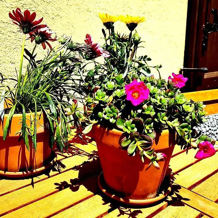 Acquadolce Casa de Férias *